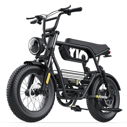 Coswheel E bike Y16 ,Adult, Electric Bike, 1000W 48V 15AH, Fat Tire.