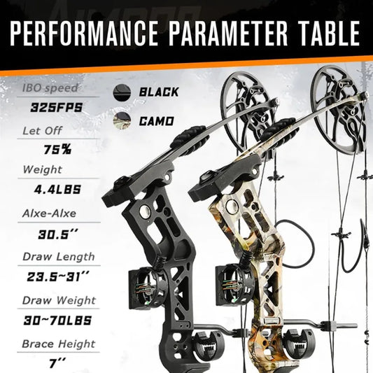 Archery Hunting Compound Bow Kit RTH 3070 LBS Draw Length 23.531 IBO 325FPS Target Shooting Bow with Accessories for Bowfishing