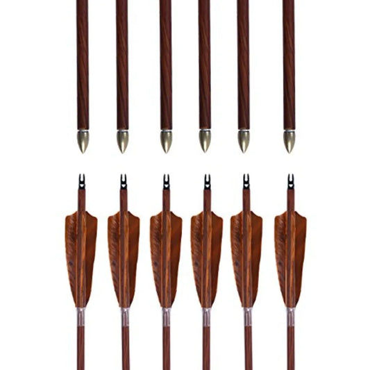 Archery 31-Inch Carbon Hunting Arrows 4-Inch Turkey Feather, Replaceable Points