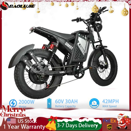 BAOLUJIE DM01 Motor Electric Bicycle 60V 30AH Battery Max Speed 42 MPH