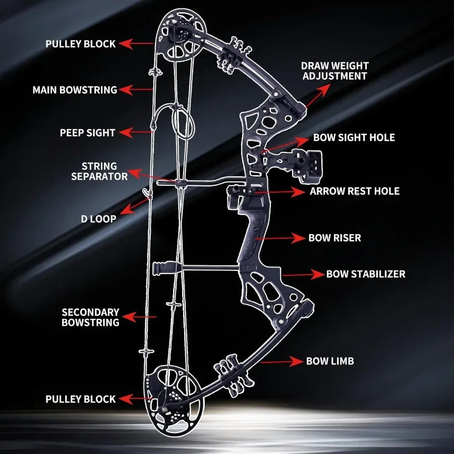 Compound Bow and Arrow Set for Adults Archery Shooting Bow Adjustable 30-65LBS, 9.5"-30" Draw Length
