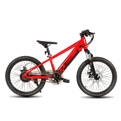 JOYSTAR Electric Bike for Kids Teens Ages 7+