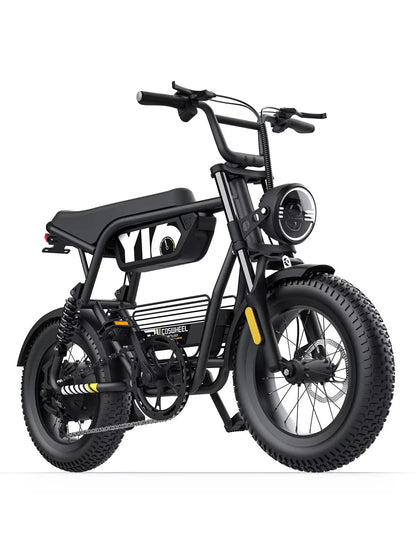 Coswheel E bike Y16 ,Adult,  Electric Bike, 1000W 48V 15AH,  Fat Tire.