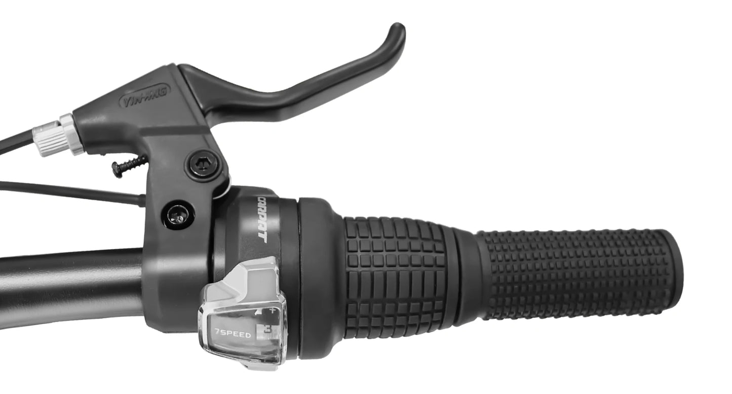 26 Inch Mountain Bike, 4-Inch Wide Fat Tires, 21 Speed,  Steel Frame, Disc Brake