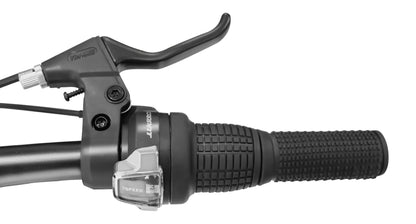 26 Inch Mountain Bike, 4-Inch Wide Fat Tires, 21 Speed,  Steel Frame, Disc Brake