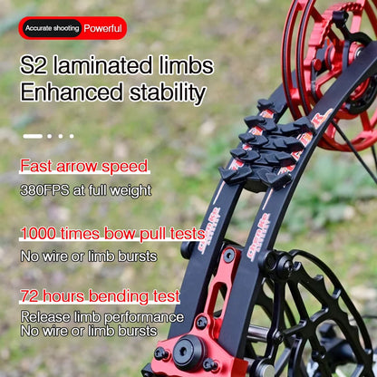 New Fiery Compound Bow Pulley Bow Adult Outdoor Archery Steel Ball and Arrow