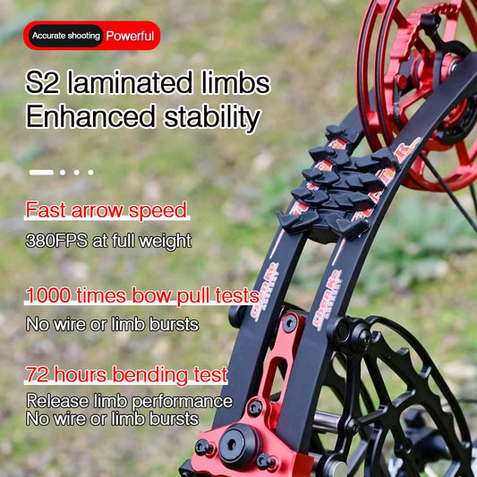 New Fiery Compound Bow Pulley Bow Adult Outdoor Archery Steel Ball and Arrow