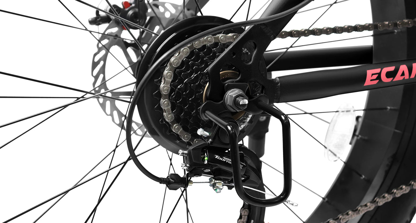 26 Inch Mountain Bike, 4-Inch Wide Fat Tires, 21 Speed,  Steel Frame, Disc Brake