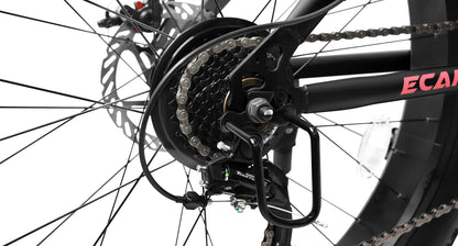 26 Inch Mountain Bike, 4-Inch Wide Fat Tires, 21 Speed,  Steel Frame, Disc Brake