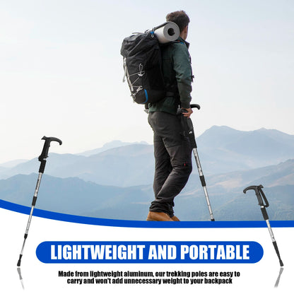 Hiking Sticks Walking Stick T54-110 CM.