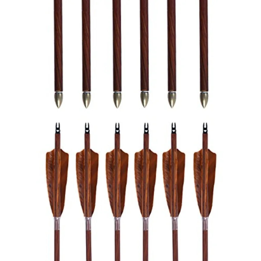 Archery 31-Inch Carbon Hunting Arrows 4-Inch Turkey Feather, Replaceable Points