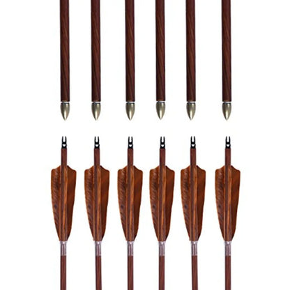 Archery 31-Inch Carbon Hunting Arrows 4-Inch Turkey Feather, Replaceable Points