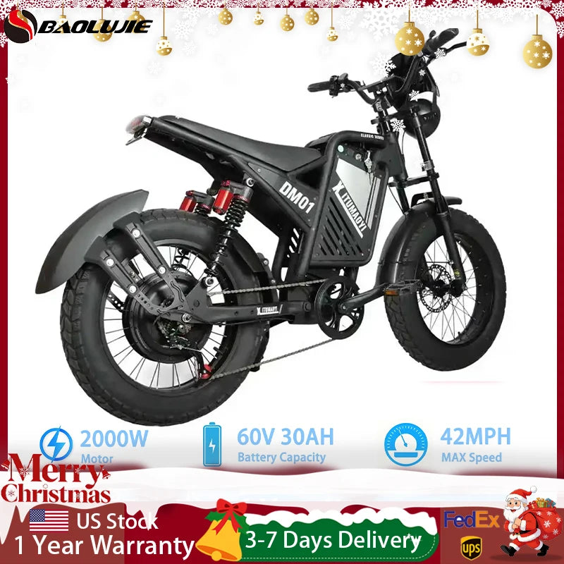 BAOLUJIE DM01 Motor Electric Bicycle 60V 30AH Battery Max Speed 42 MPH