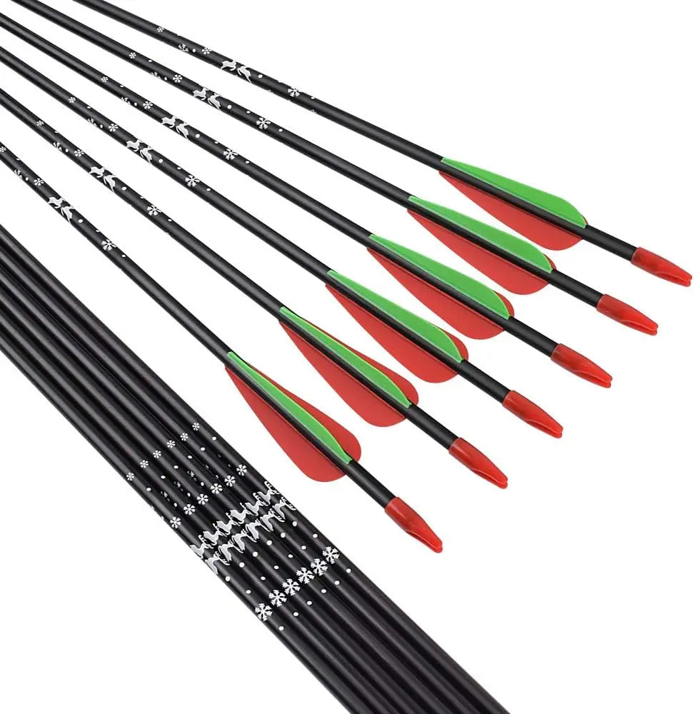 12pcs Recurve Arrows Fiberglass Arrow