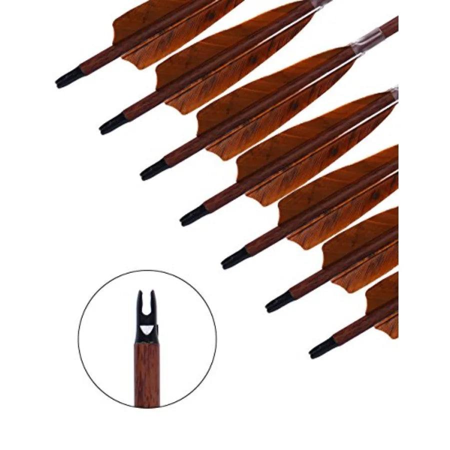 Archery 31-Inch Carbon Hunting Arrows 4-Inch Turkey Feather, Replaceable Points