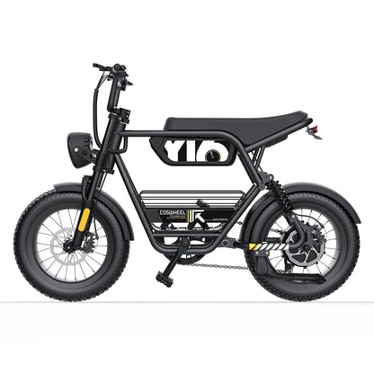Coswheel E bike Y16 ,Adult,  Electric Bike, 1000W 48V 15AH,  Fat Tire.