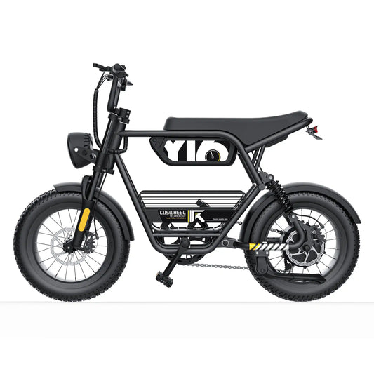 Coswheel E bike Y16 ,Adult,  Electric Bike, 1000W 48V 15AH,  Fat Tire.