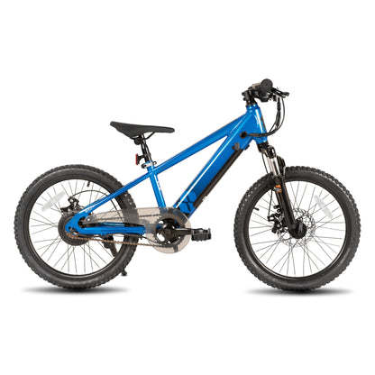 JOYSTAR Electric Bike for Kids Teens Ages 7+