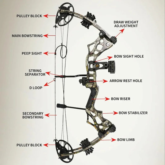 Compound Bow and Arrow Set for Adults, 30-65LBS, Composite