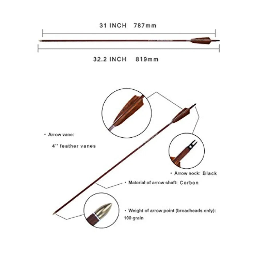 Archery 31-Inch Carbon Hunting Arrows 4-Inch Turkey Feather, Replaceable Points