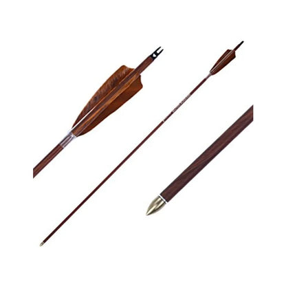 Archery 31-Inch Carbon Hunting Arrows 4-Inch Turkey Feather, Replaceable Points