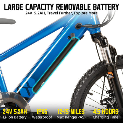 JOYSTAR Electric Bike for Kids Teens Ages 7+