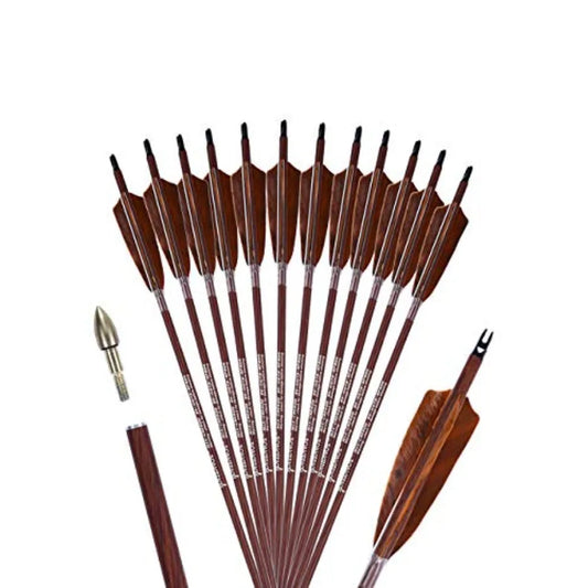 Archery 31-Inch Carbon Hunting Arrows 4-Inch Turkey Feather, Replaceable Points