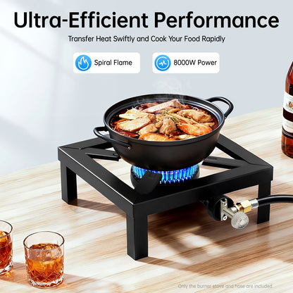 Portable Single Burner Outdoor Gas Stove Propane