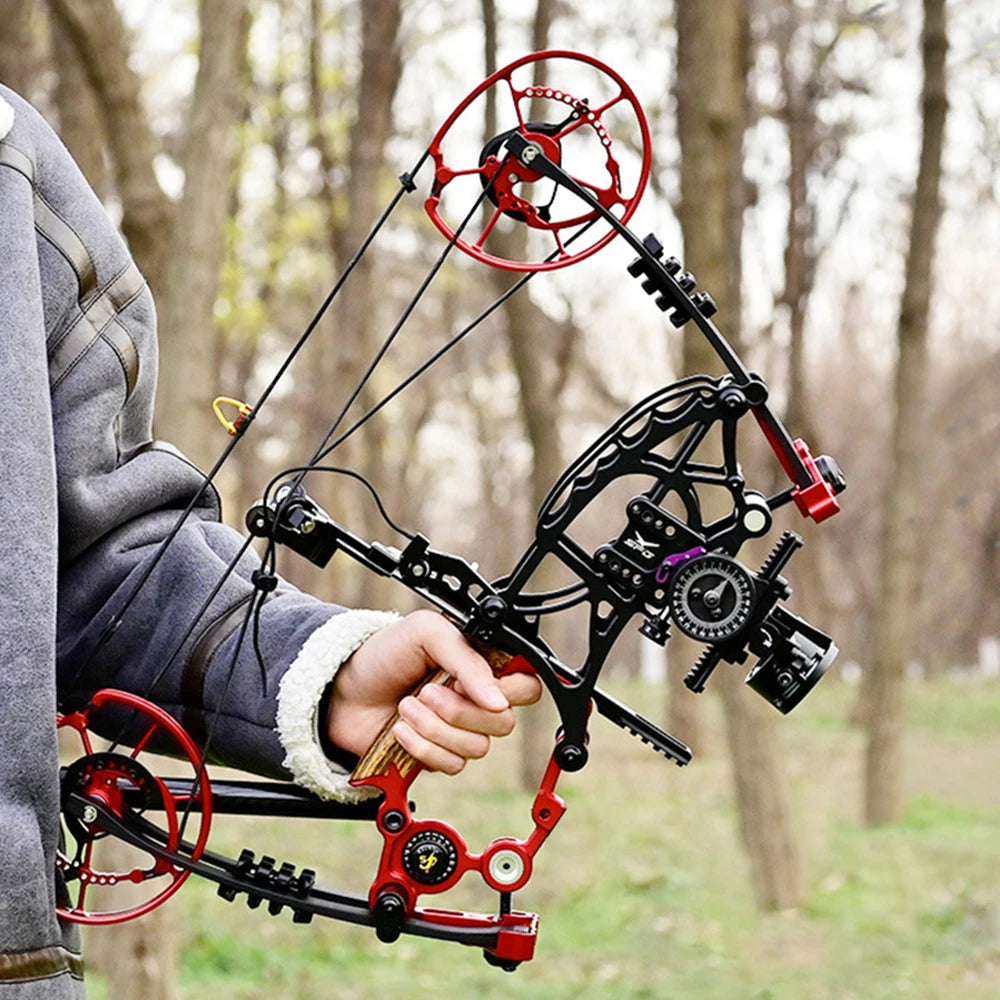 New Fiery Compound Bow Pulley Bow Adult Outdoor Archery Steel Ball and Arrow