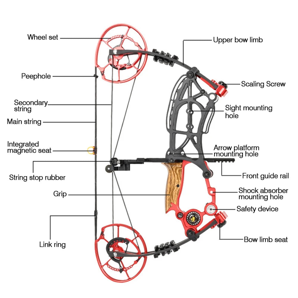 New Fiery Compound Bow Pulley Bow Adult Outdoor Archery Steel Ball and Arrow