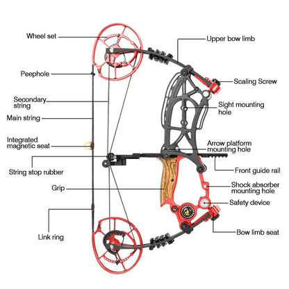 New Fiery Compound Bow Pulley Bow Adult Outdoor Archery Steel Ball and Arrow