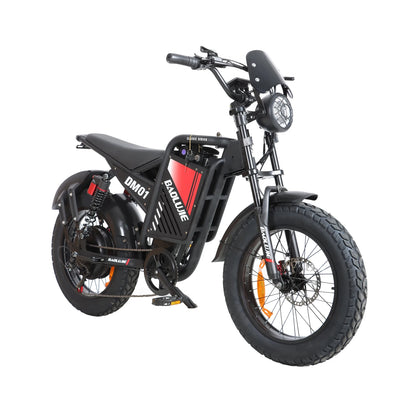 BAOLUJIE DM01 Motor Electric Bicycle 60V 30AH Battery Max Speed 42 MPH