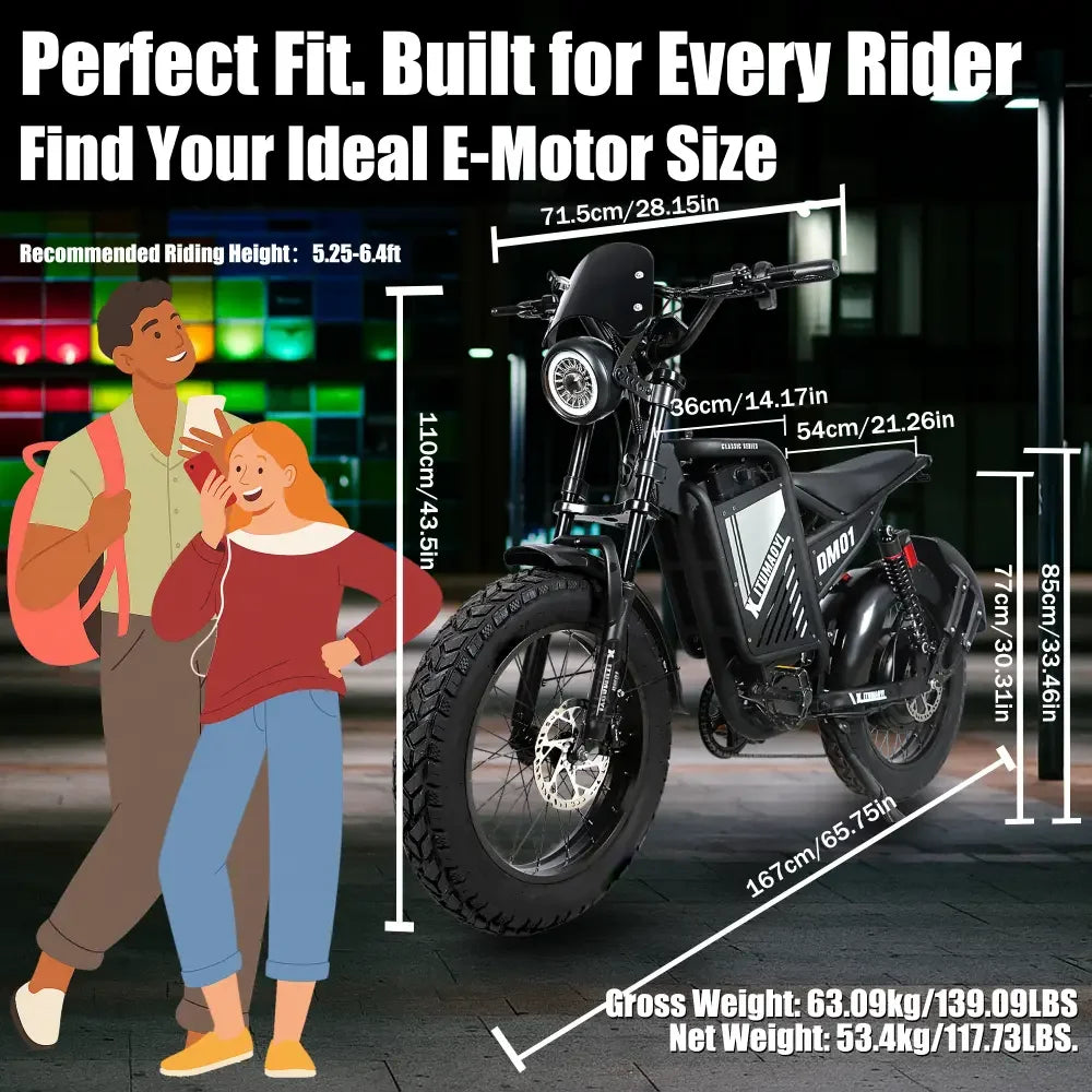 BAOLUJIE DM01 Motor Electric Bicycle 60V 30AH Battery Max Speed 42 MPH